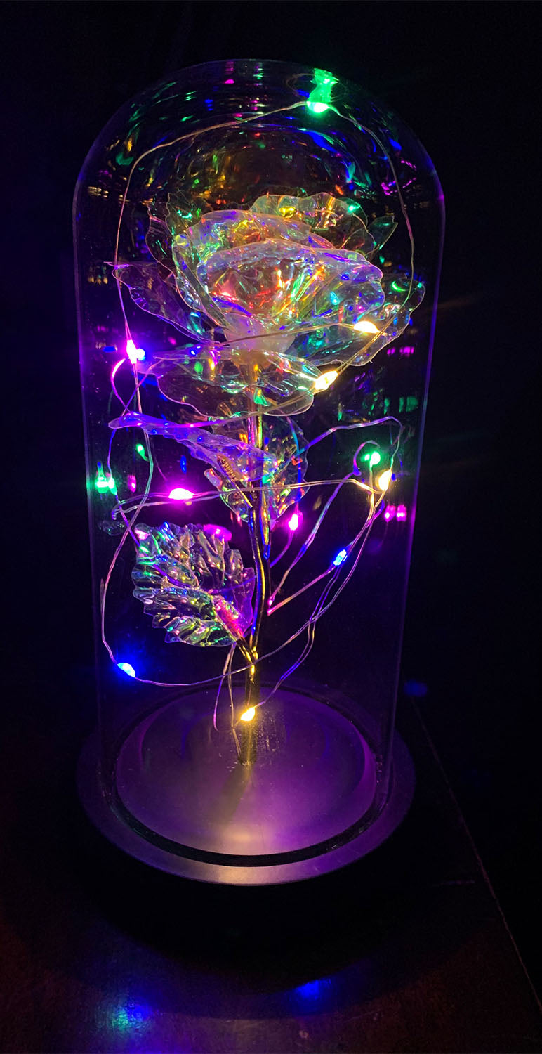 Love Enchanted Rose